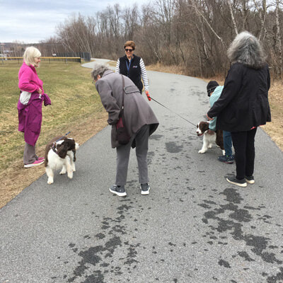 Group of people walking with their dogs